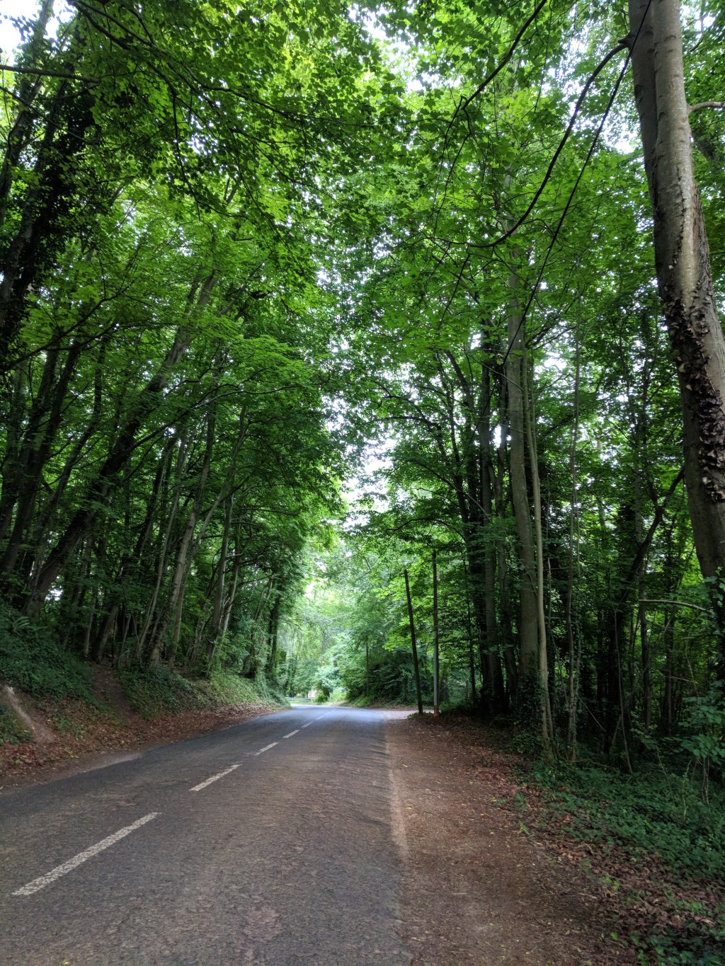 Driving in France: Round and Round and Round&nbsp;About